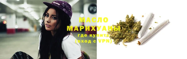 хмурый Арсеньев