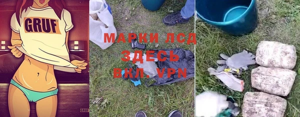 хмурый Арсеньев