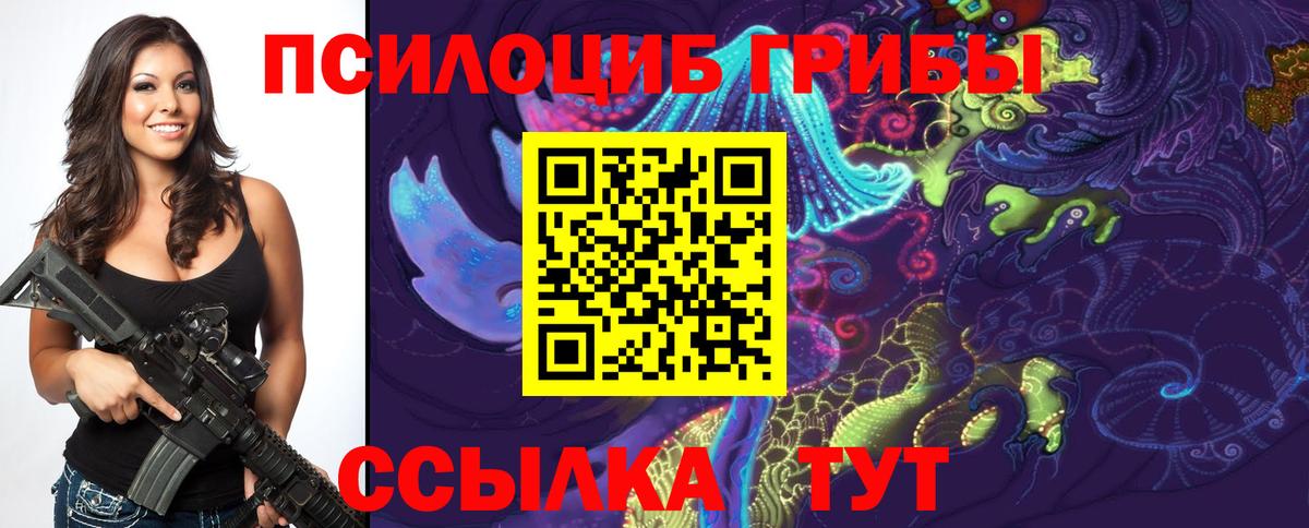 Галлюциногенные грибы Psilocybe  Вход с VPN  Галлюциногенные грибы Psilocybe  Нарткала 